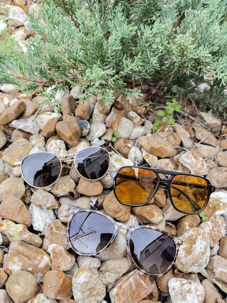 DAX Sunglasses