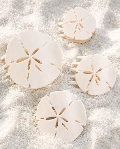 Teleties Sand Dollar Flat Clip-Medium